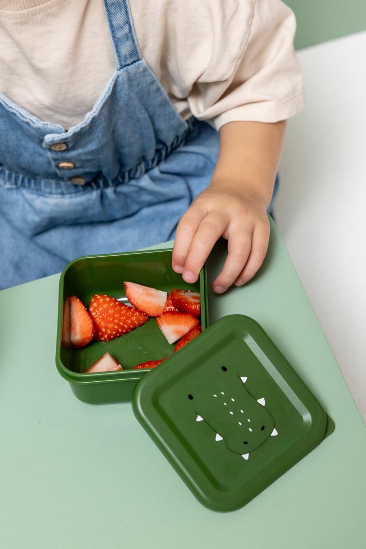 Fiambrera nido - 3 Uds. - Mr. Alligator